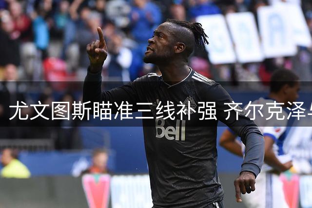 尤文图斯瞄准三线补强 齐尔克泽与凯西进入引援名单