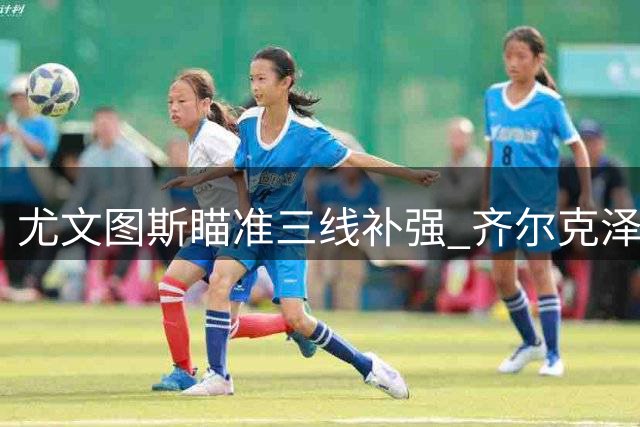 尤文图斯瞄准三线补强 齐尔克泽与凯西进入引援名单